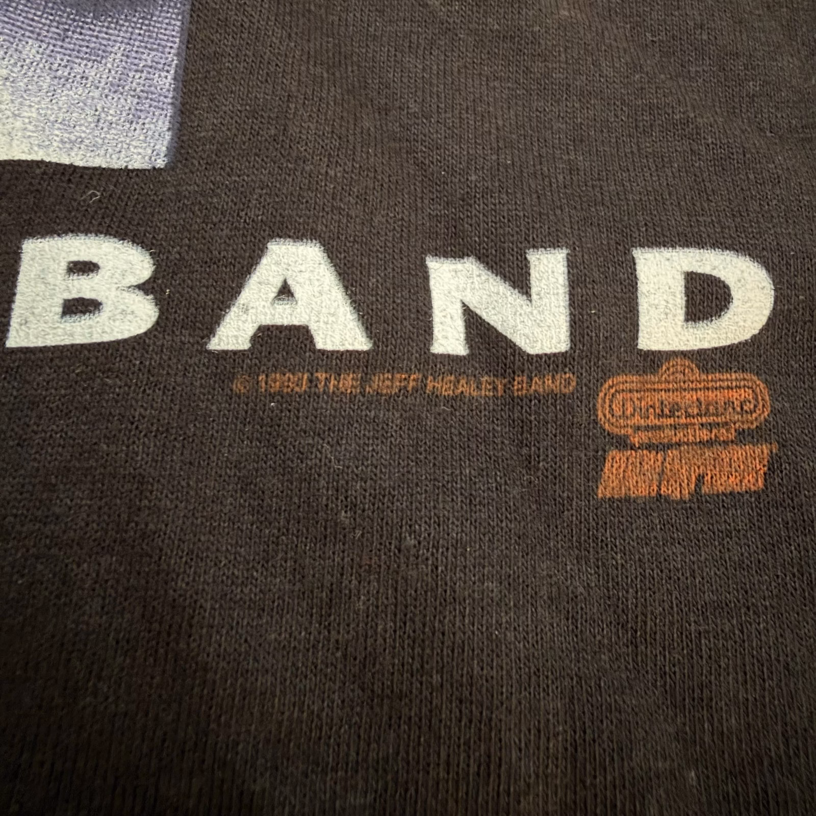 Vtg The Jeff Healey Band Feel This Tour Shirt 1993 Concert Tee XL Single Stitch